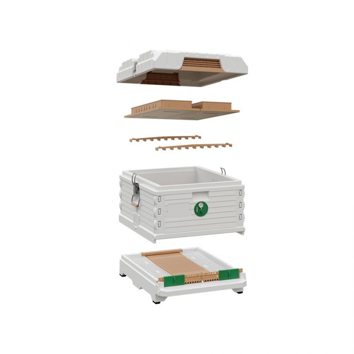 Api Nayed Apimaye 10F F/Depth Brood – The Urban Beehive