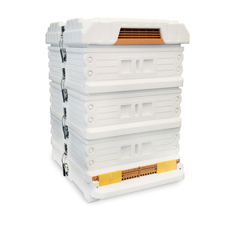 Api Nayed Apimaye 10F Manley Brood & Manley Supers (2) – The Urban Beehive