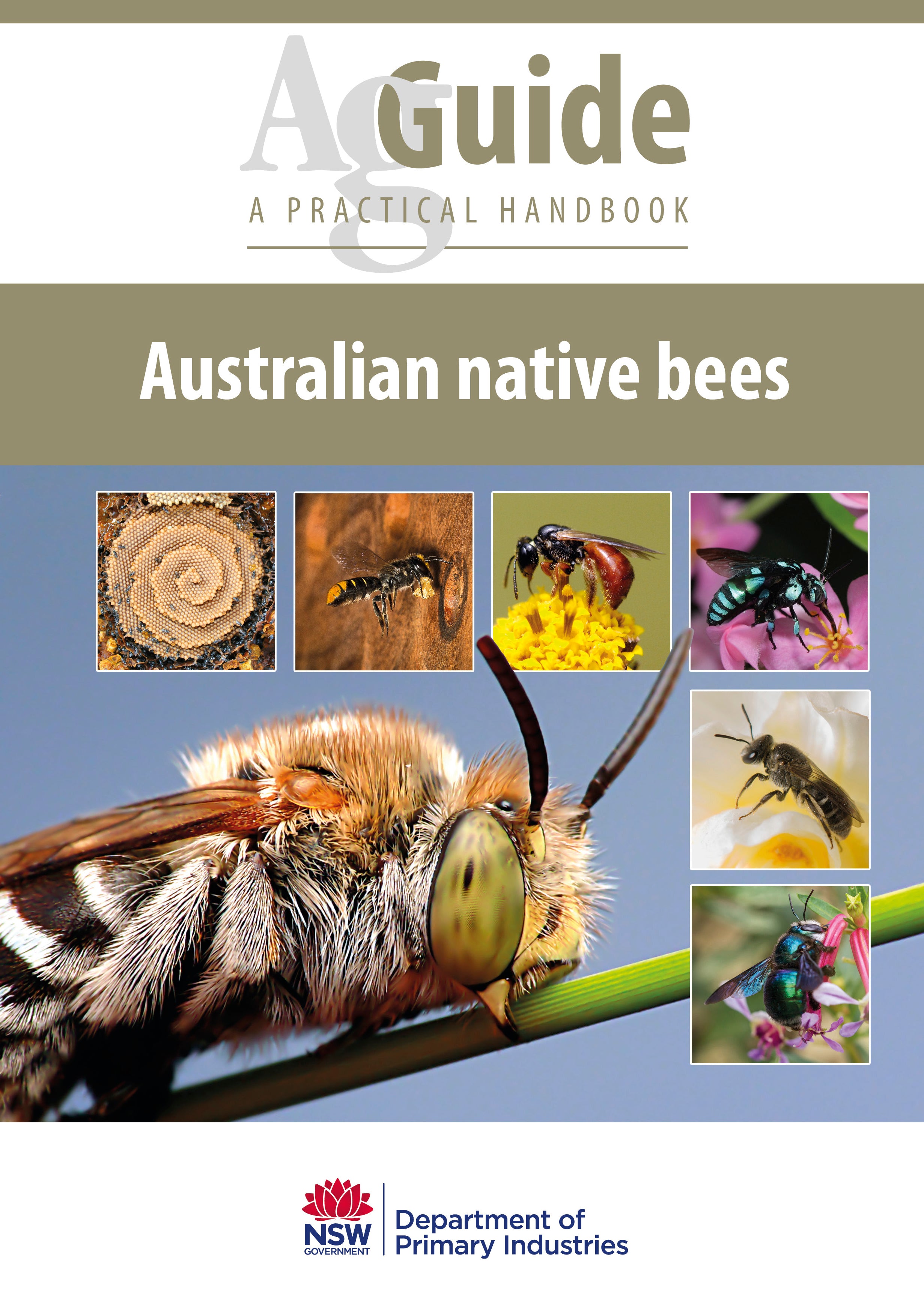 SKU_B0006_Aus_Native_Bees_AgGu