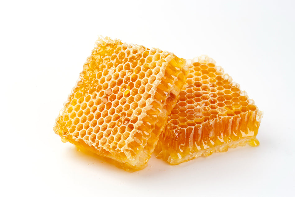 Honeycomb Section Container 10 x 10 - Tamper Proof Lid (10 Pack)