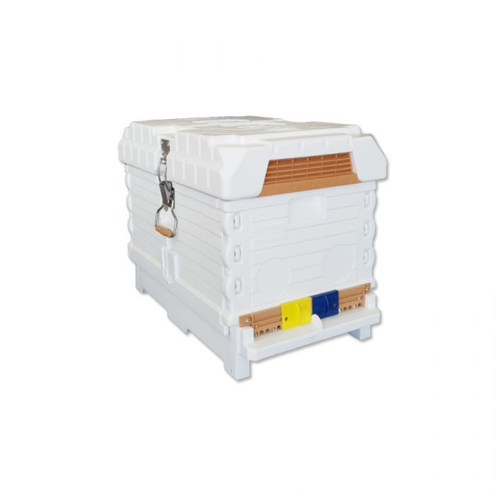 Api Nayed Apimaye 7F F/Depth Nuc/Brood – The Urban Beehive