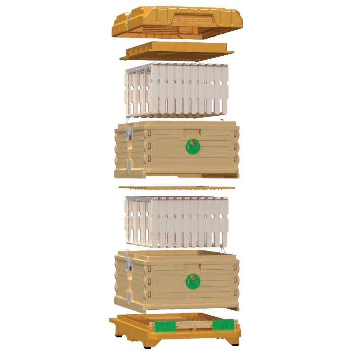 Api Nayed Apimaye 10F F/Depth Brood/Super, 20 Apimaye Handy Frames – The Urban ...